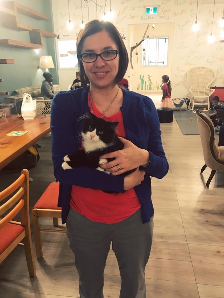 AnimexRefuge's tweet photo. Nos #adoptions cette semaine: Suzanne,Lily,Cachou.Merci aux adoptants😻😻😻 Our adoptions this week: Suzanne,Lily,Cachou.Thanks to the adopters.#AdoptDontShop #Mtlmoments #Caturday #VerduLuv #SHSA #SOmtl #Griffintown #NDG #Mtl #westisland #Beaconsfield #plateaumontroyal #Brossard https://t.co/B54QwXQ9yl