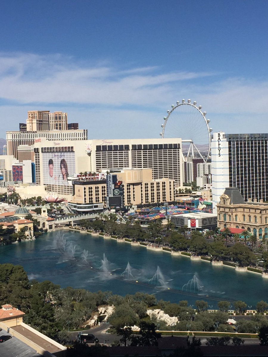 anouskagrace's tweet image. @danwootton looks like I made way in my room in the @Cosmopolitan_LV for you #sameview 😂