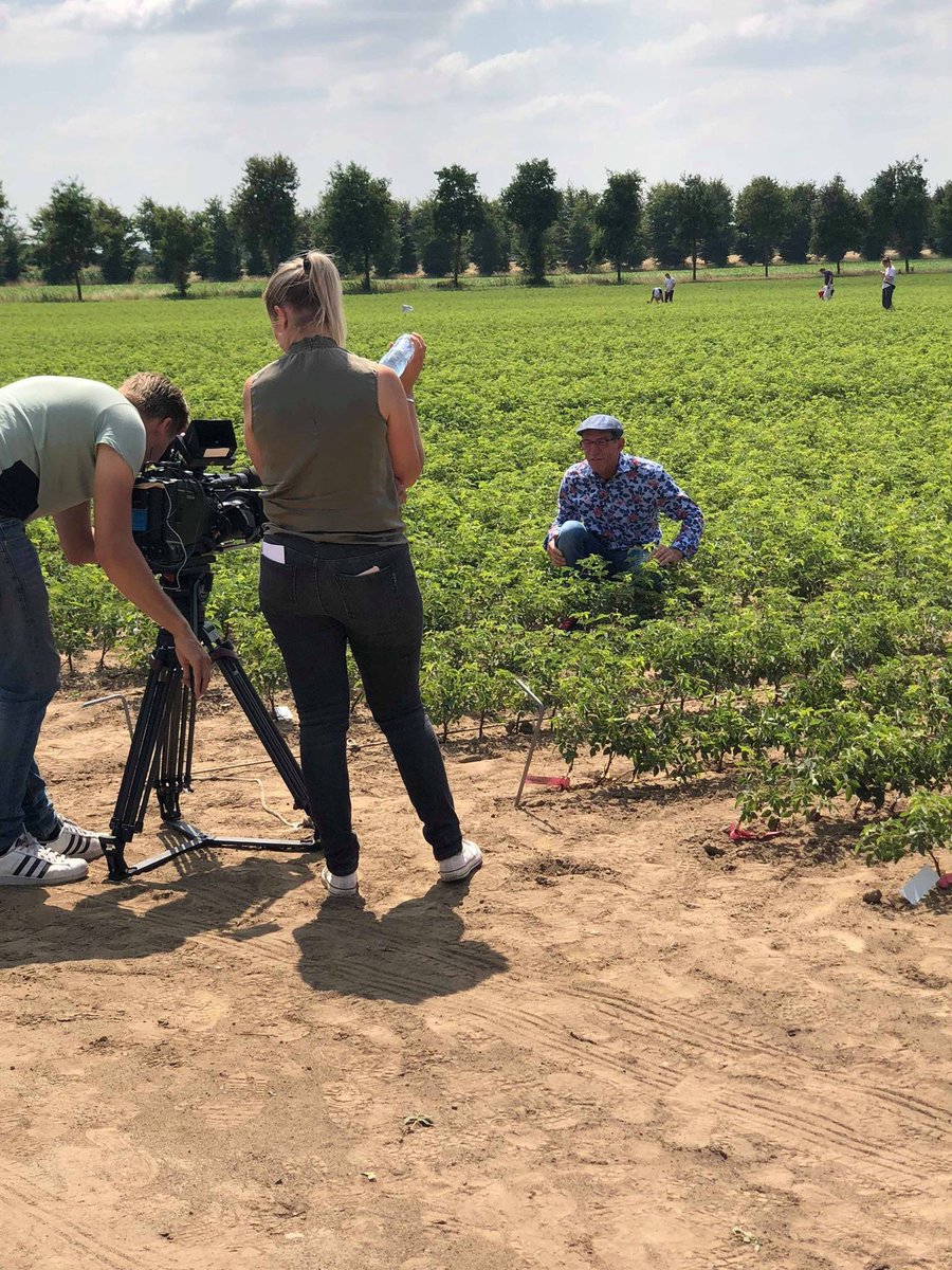OutdoorRoses's tweet photo. Rob Verlinden is op het rozenveld geweest en neemt de kijker mee in de wereld van #tuinrozen en vertelt onder andere waar rozen vandaan komen, hoe ze groeien en wat een rozenkweker allemaal moet doen om mooie rozen te krijgen. Kijk om 17:00 uur naar #degrotetuinverbouwing op SBS6 https://t.co/UIEQXGuLUD