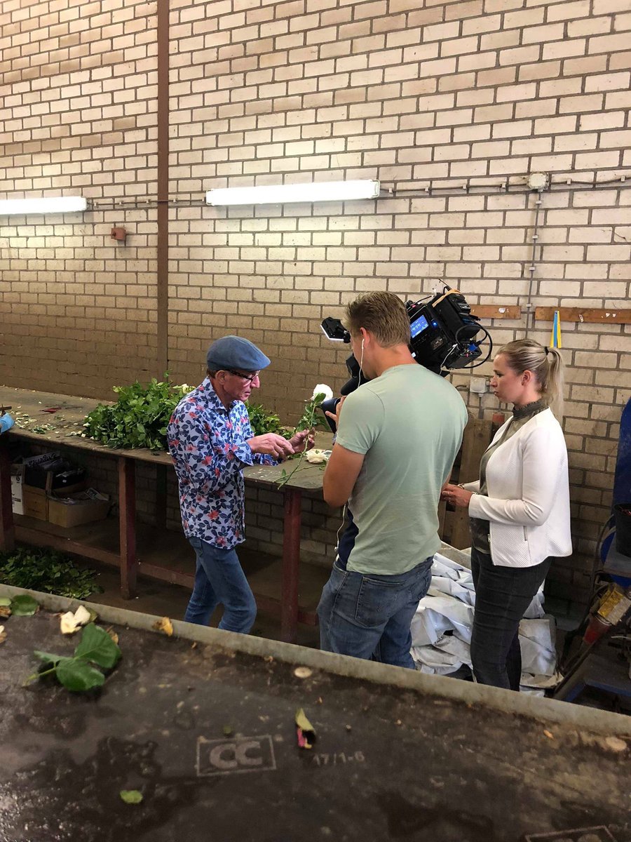 Rob Verlinden is op het rozenveld geweest en neemt de kijker mee in de wereld van #tuinrozen en vertelt onder andere waar rozen vandaan komen, hoe ze groeien en wat een rozenkweker allemaal moet doen om mooie rozen te krijgen. Kijk om 17:00 uur naar #degrotetuinverbouwing op SBS6