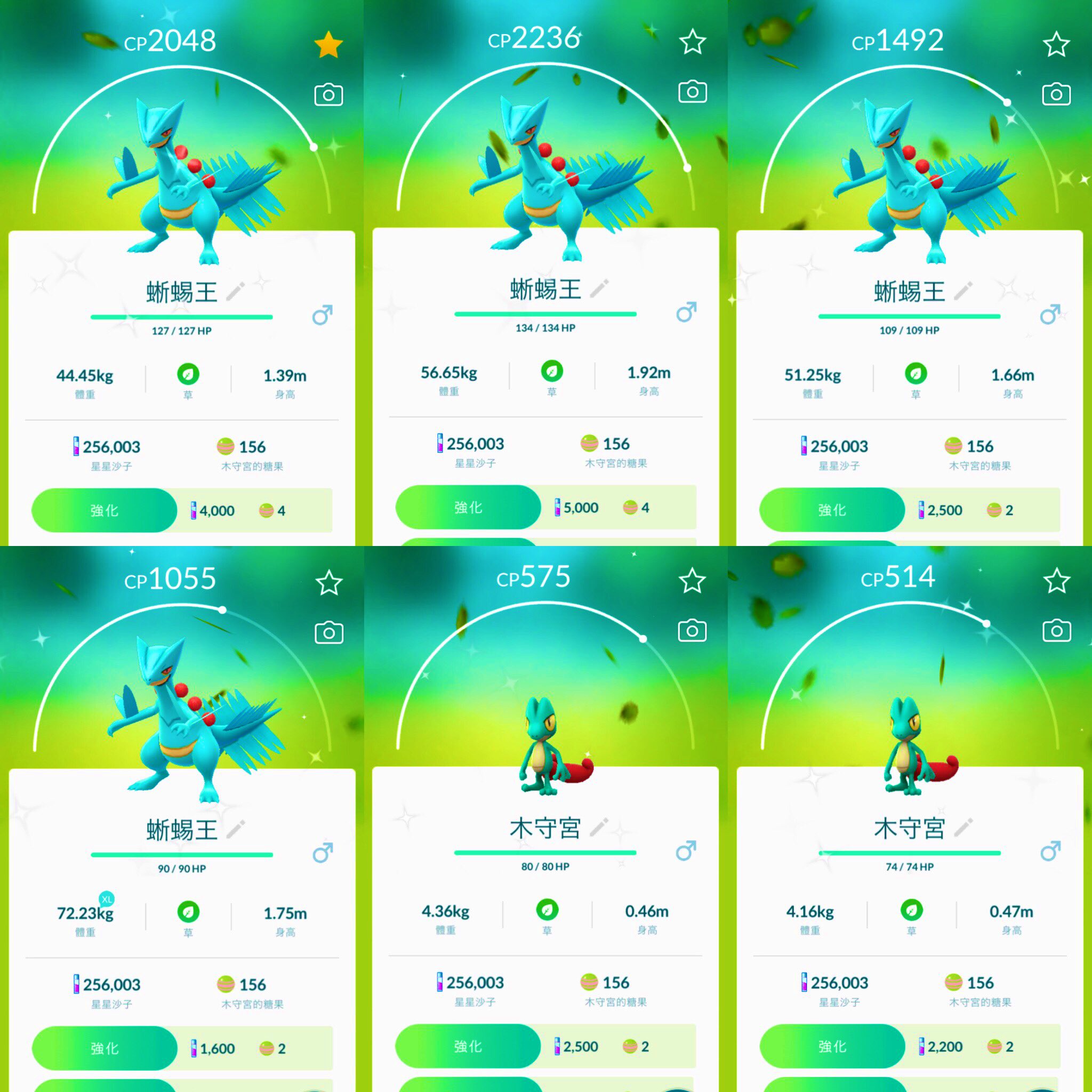 林丞緯 台湾 ポケモンgo 色違い ジュカイン 蜥蜴王 キモリ 木守宮 カイリキー 怪力 ルナトーン 月石 ボスゴドラ 波士可多拉 Taiwan 台湾 T Co W7gkqsdczd Twitter