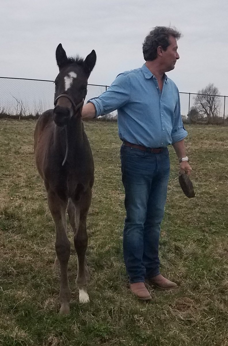 JennOrrBuchanan's tweet photo. A beautiful morning, @keeneland opening day right around the corner, and baby racehorses on the ground remind me why this is my favorite time of year... #BabyHorses #FuzzyFaces #HorseRacing #SpringHasSprung #RacingGirls #ChristinaJelm #MoreauBloodstock https://t.co/QOuN3KakwK