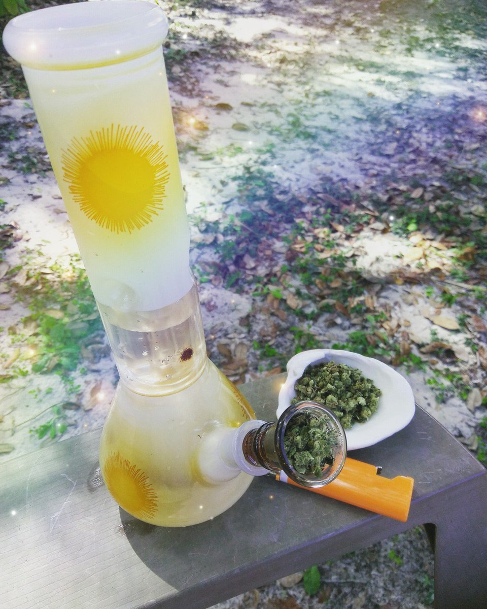 ModelsCannabis's tweet photo. https://t.co/4DiaSAp1Mr