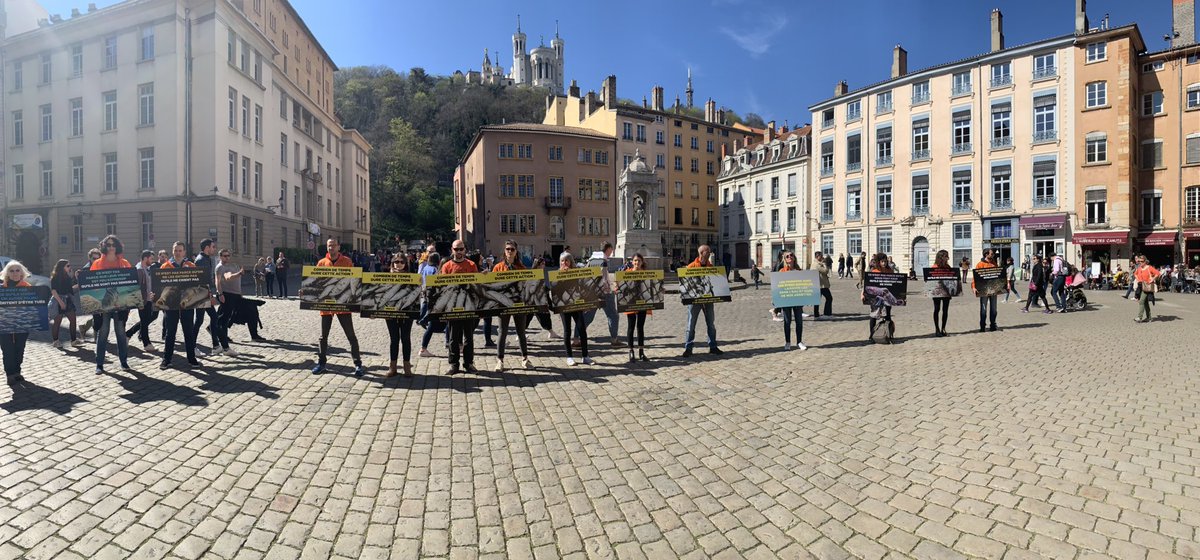 RT de Lyon (@rtdelyon) on Twitter photo Place St-Jean , action de <a href="/L214/">L214 éthique & animaux</a>, sensibilisation à la consommation de poisson, #vegetarisme , même pour ceux qui ne se sentent pas concernés, c’est intéressant... Place St-Jean , action de <a href="/L214/">L214 éthique & animaux</a>, sensibilisation à la consommation de poisson, #vegetarisme , même pour ceux qui ne se sentent pas concernés, c’est intéressant...