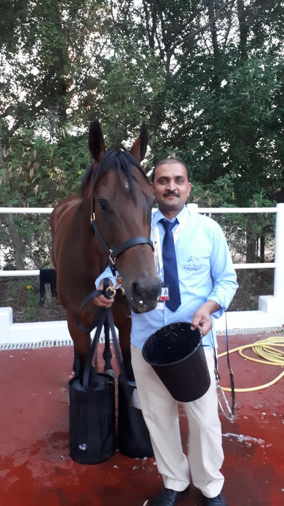 Viddora with her groom "Asad Abass" with her well deserved ice recovery session. Well done team kennewell. <a href="/KennewellRacing/">Kennewell Racing</a>