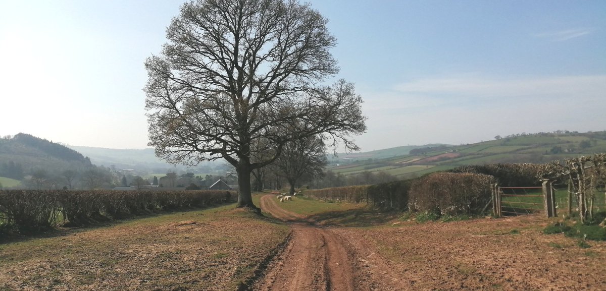 smoggiewalks's tweet photo. Walk to Y Gaer (Brecons Roman Fort let) 10 miles full pack #breconbeacons #WHWtraining #lesserwalkedpaths #romanhistory
@DerekTheWeather @SomethingVloggy @OrdnanceSurvey @cadwwales https://t.co/lfJvPEwW7k