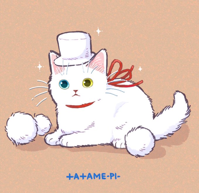 「白い猫」のTwitter画像/イラスト(人気順｜RT&Fav:50)｜21ページ目