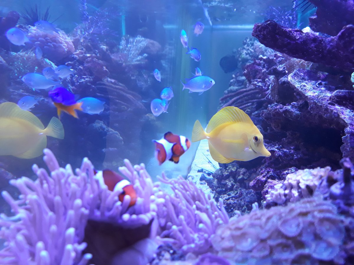 BrusselsJam's tweet photo. Where is Nemo? @GSJam 
#BrusselsServiceJam #GSJam https://t.co/a3ay9bhY24