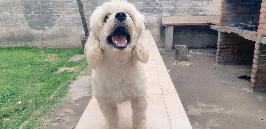 SolsosaG's tweet photo. Lo que más amo en ésta y en la otra vida también 💕 https://t.co/7w7VP7gpMJ