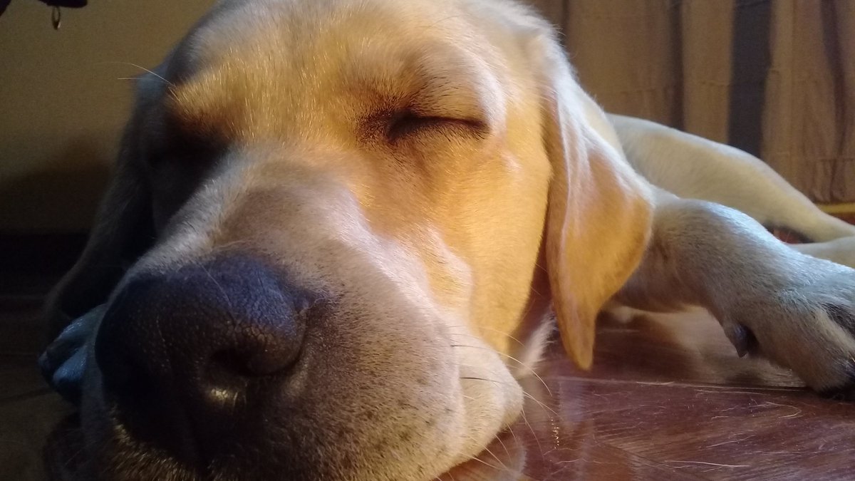 SolsosaG's tweet photo. Lo que más amo en ésta y en la otra vida también 💕 https://t.co/7w7VP7gpMJ