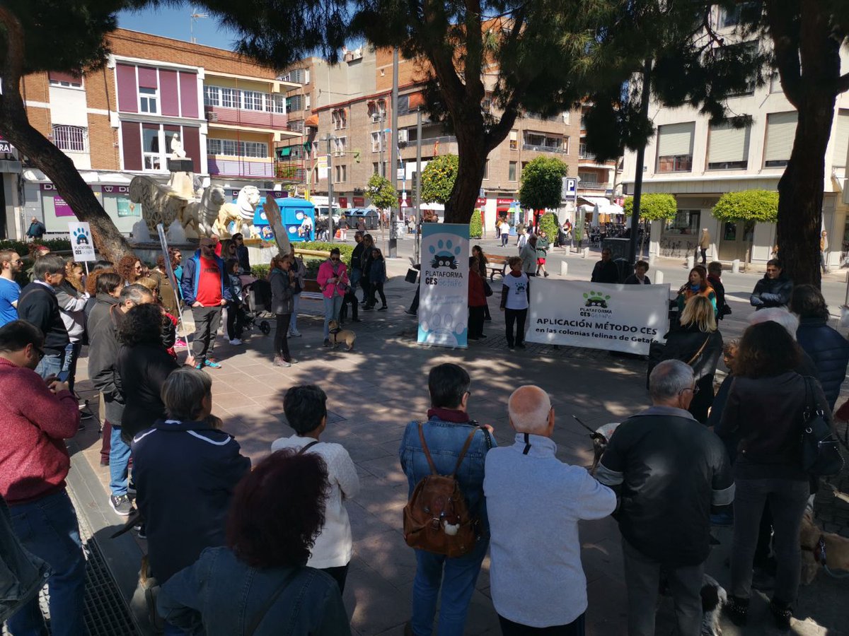 ces_getafe's tweet photo. ¡Gracias a tod@s por el apoyo que ha hecho posible el registro en @aytogetafe de casi 6000 firmas solicitando la aplicación del #MétodoCES en las colonias felinas de #Getafe! https://t.co/BlE0D4GNhG