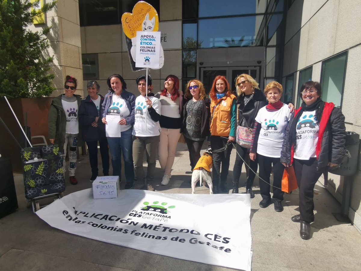 ces_getafe's tweet photo. ¡Gracias a tod@s por el apoyo que ha hecho posible el registro en @aytogetafe de casi 6000 firmas solicitando la aplicación del #MétodoCES en las colonias felinas de #Getafe! https://t.co/BlE0D4GNhG