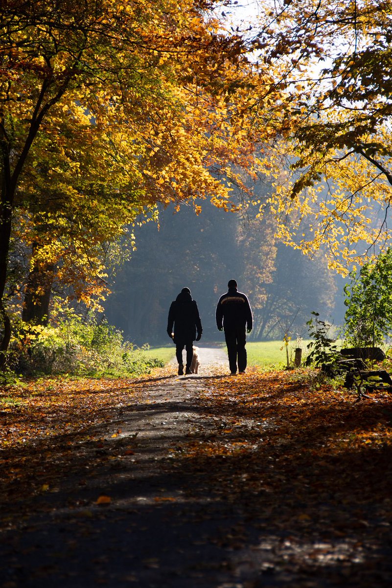 GoGreenDrop's tweet image. Today is Take a Walk in the Park Day! Put on your finest walking shoes, head outside & enjoy a nice walk & breathe some fresh outdoor air! If you have any walking shoes & work out apparel that you no longer wear, donate them to GreenDrop. Call 1-888-944-3767.