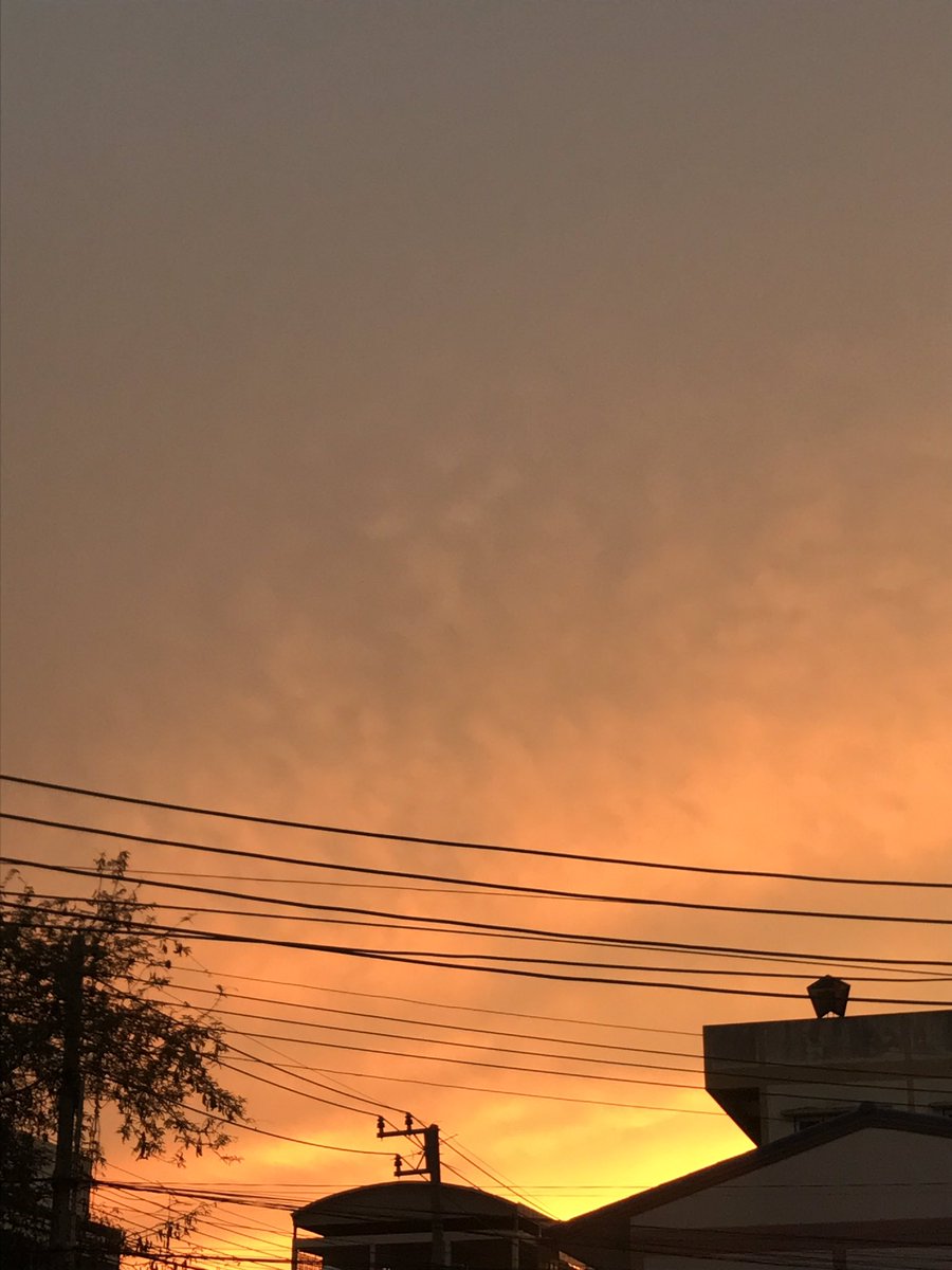 สีฟ้า tweet media