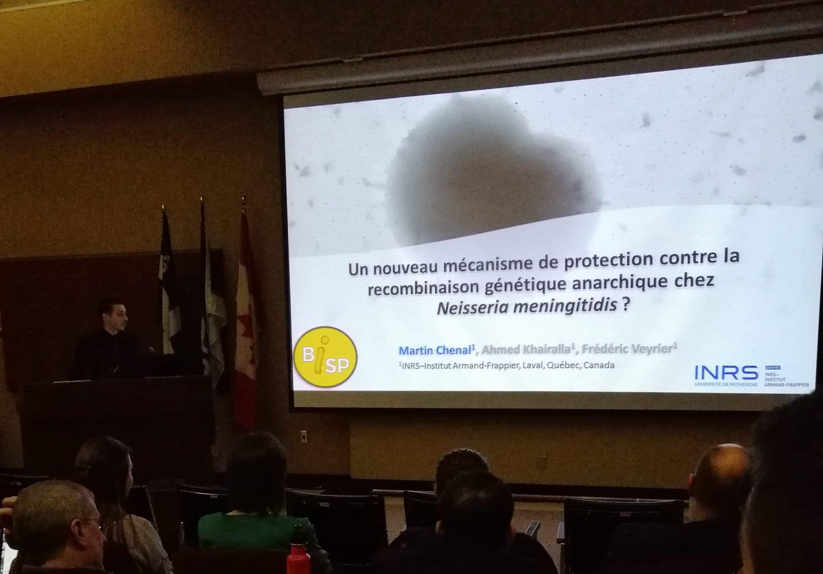 ChenalMartin's tweet photo. Première participation en tant qu'exposant à un congrès = premier prix. Wow !
Merci à @VeyrierFrederic pour avoir organisé le 4e édition du congrès BiSP : Bactériologie Intégrative.
#BISP2019 @BISP79428707 @inrsciences #Bacteriology https://t.co/phHKAUyyXk