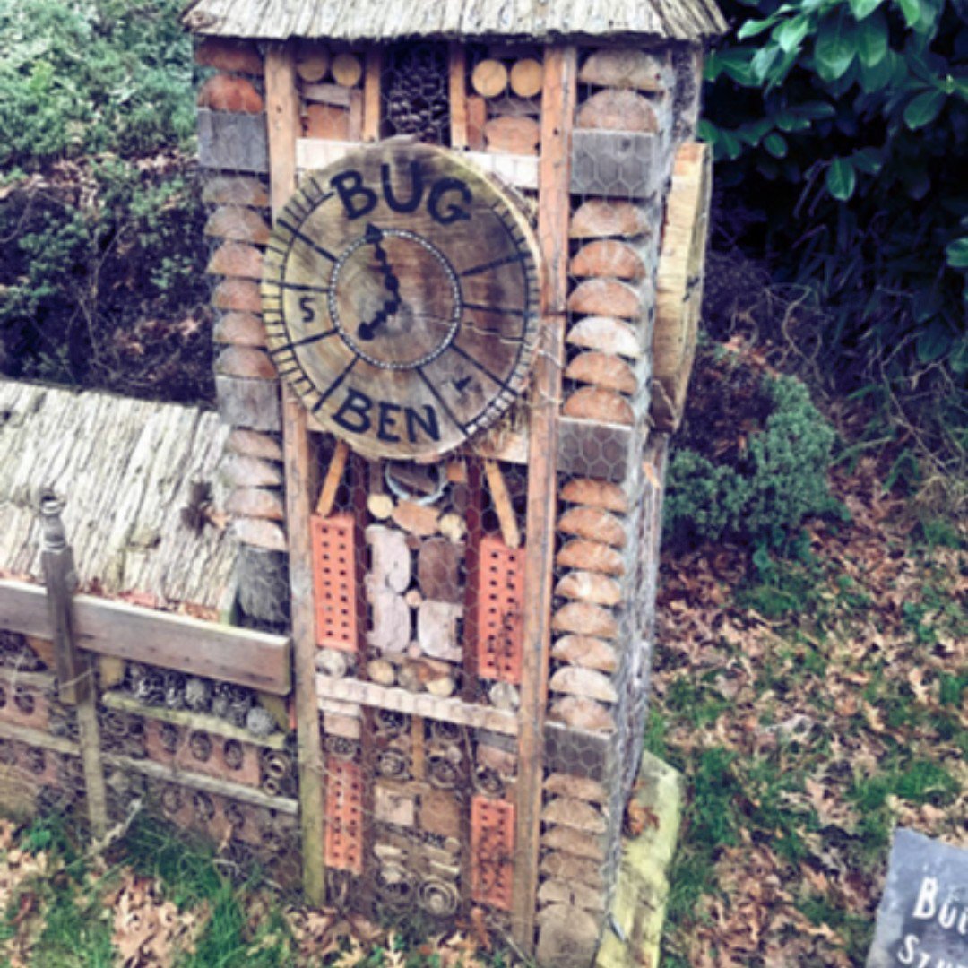 seed_ball's tweet photo. #bugben at London Zoo makes us so happy!!
#inspiration #wildlifegarden #bughouse https://t.co/h1Z12uAEEk