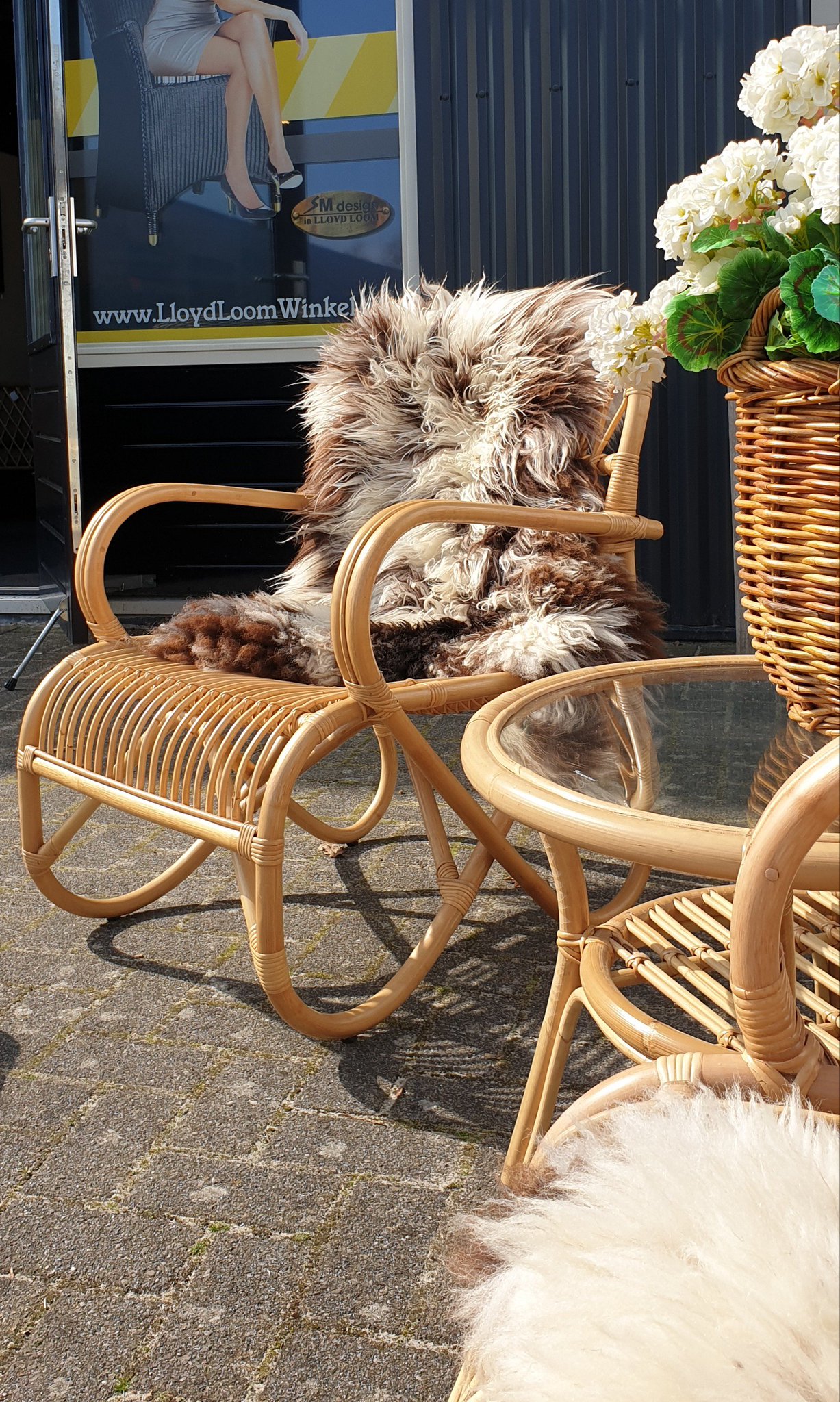 geweer Dader hulp rietenrotanwinkel on Twitter: "Sfeervolle rieten trendy stoelen worden vaak  met een schapenvacht gecombineerd. Deze rotan stoel Belse retro is een best  seller. Jaren '60 stijl komt helemaal weer terug. Nieuwsgierig kijk op  https://t.co/aBC2Bfv8Dn #rotan ...