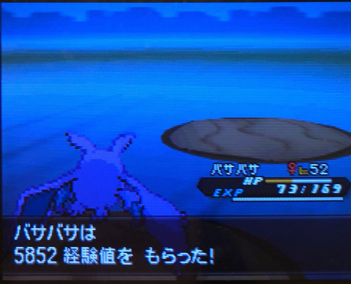 31 海底遺跡の古代文字を読む ピクミン マリオ ドラクエ Ff ポケモン日記