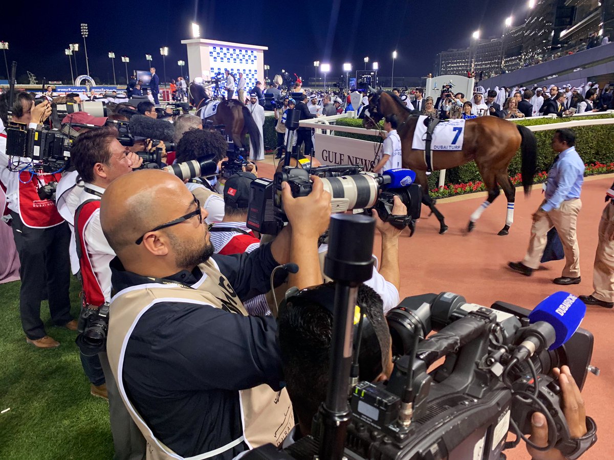AndrewNJHawkins's tweet photo. She is certainly the princess of the night! Almond Eye heads out for her Dubai Turf mission #競馬 #horseracing #DWC19 #DWCnotes https://t.co/GwzLbxE7Ls