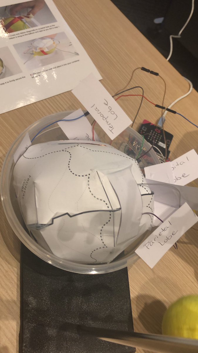 MrsABelmonte's tweet photo. Testing out the brain we created to understand brain injury #MicrosoftEdu #TransformEd2030 #dpguidance https://t.co/ey5ujy6440
