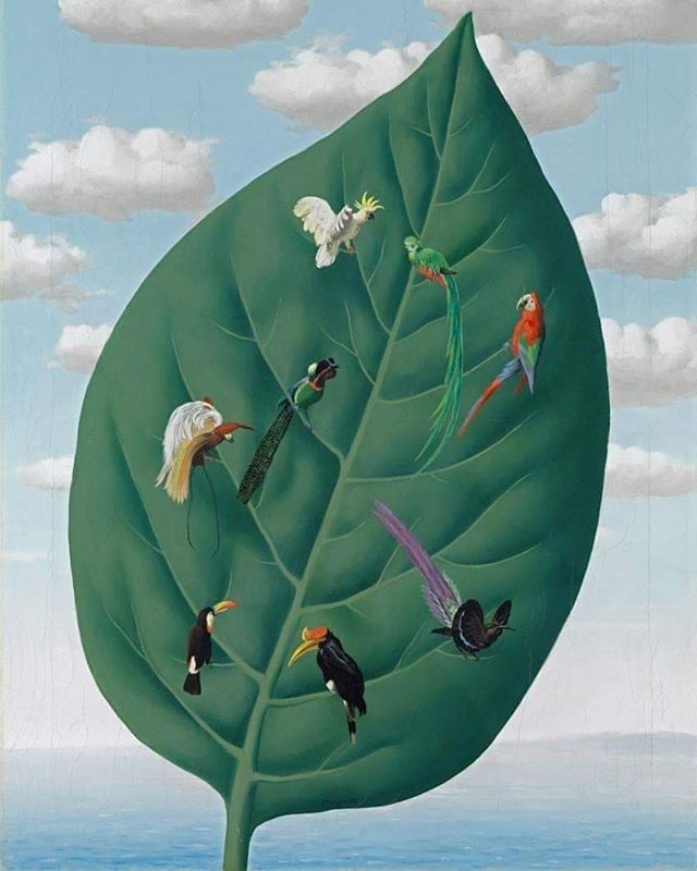 Is it possible that some animals are self-aware and think about their ability to think? 🌿

René Magritte • The Third Dimension (1942) •

#belgianartist #contemporaryart #renemagritte #oilpainting #nature #surrealism #brussels