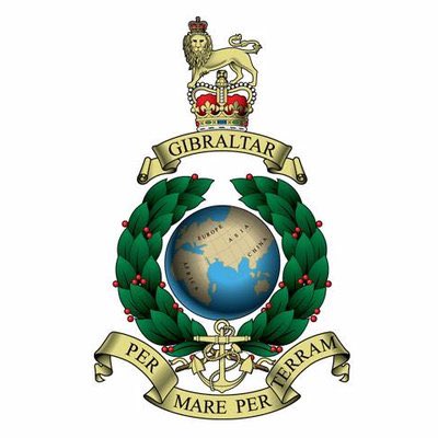 Nomadsurvival's tweet photo. It official 😎! According to the kennel club I now have a commando dog ! #bootneck #sharpei #royalmarines    #royalmarinescommando #commandodog #permareperterram https://t.co/mCLKhCykNS