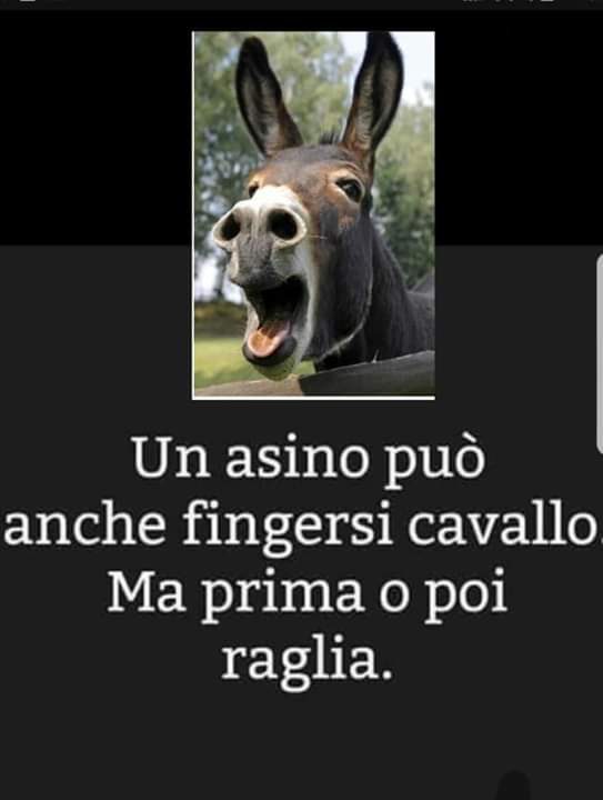 Un Asino Può Anche Fingersi Cavallo Ma Prima O Poi Raglia - Come