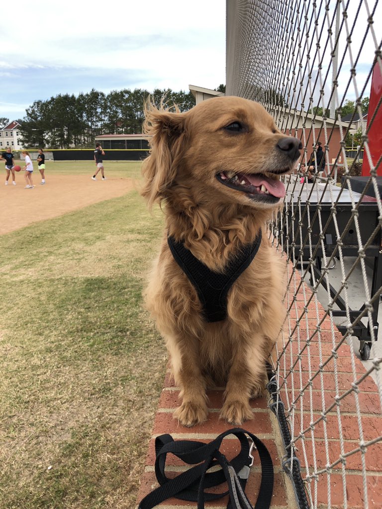 Taking some time to #RaiseItUp for Cancer Reaserch kickball. Varsity got the W to advance in the tourney 3-1. #Stick2ThrowingBoys