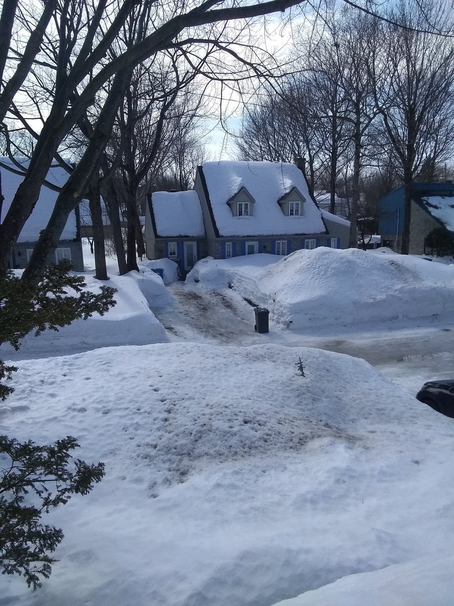 MaudeLafleur94's tweet photo. @MarioTessier_ Si tu savais comme je te comprends.... #filledequebec #soupir... https://t.co/aujmB0qNbT
