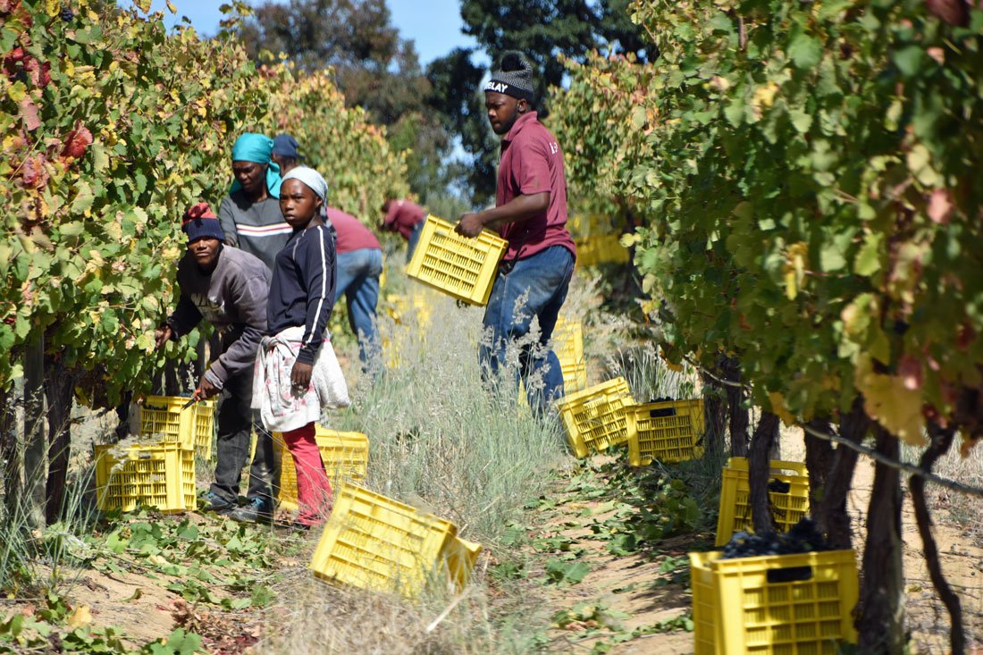 MAININGMENU's tweet photo. Tamboerskloof wines at Kleinood Wine Estate, Stellenbosch
An invitation from Kleinood Wine Estate in Stellenbosch to visit them and taste their Tamboerskloof wines was happily accepted....
#Kleinood @Tamboerskloof  #syrah #viognier #rosé #wine #estate #farm https://t.co/O7AibW75DZ