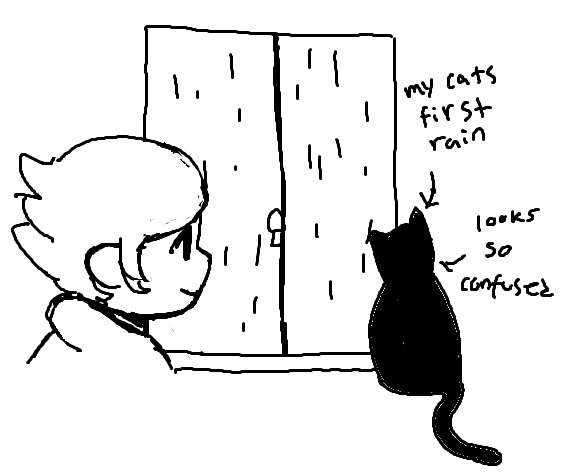 ahhh first rain of the year!! 