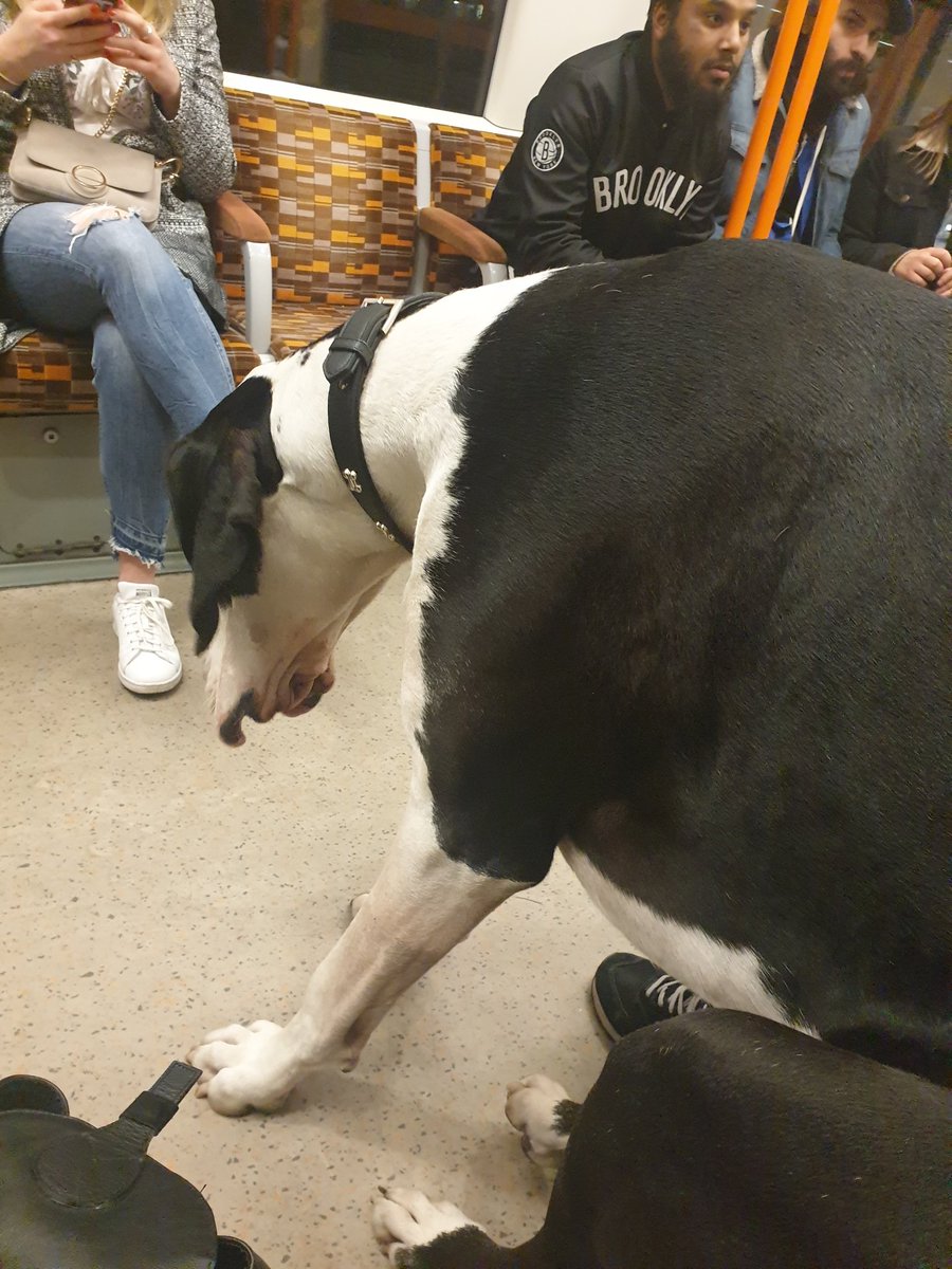 I sat next to Django @kateileaver <a href="/gregjames/">Greg James</a> 😂😂😂