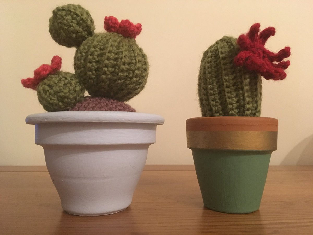 SuSusical's tweet photo. My crocheted cactus collection is growing! #crochet #cactus #ilovecrochet #makersgonnamake #crochetofinstagram #grannysquaresrock #amigurumi #succulents From Emma Varnam’s crocheted succulents #worldcraftweek #makeitmindful #weekendtime https://t.co/IL5Ak46v5r