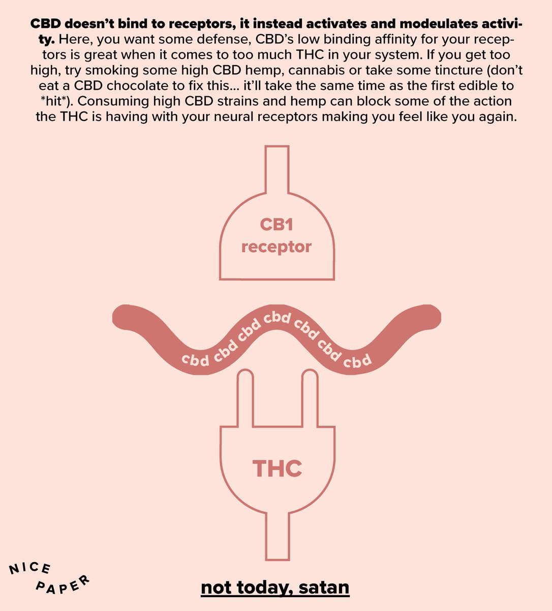 Nice Paper tweet media