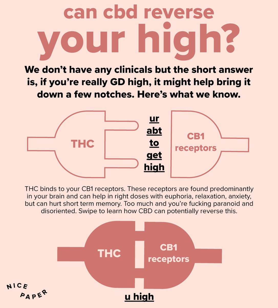 Nice Paper tweet media