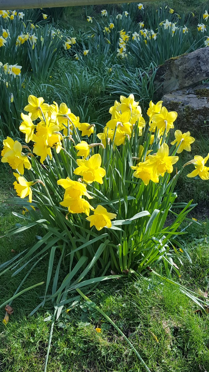 Spring has finally arrived
