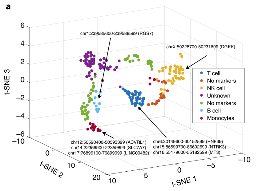 mmw_lmw's tweet photo. Profiling #Histone_Modification | SingleCell #Chromatin_ImmunoCleavage Sequencing | Identifying Cell Subtypes | Keji Zhao @nih_nhlbi @naturemethods https://t.co/qcKwXxjcbm https://t.co/FxZa6TrXBy