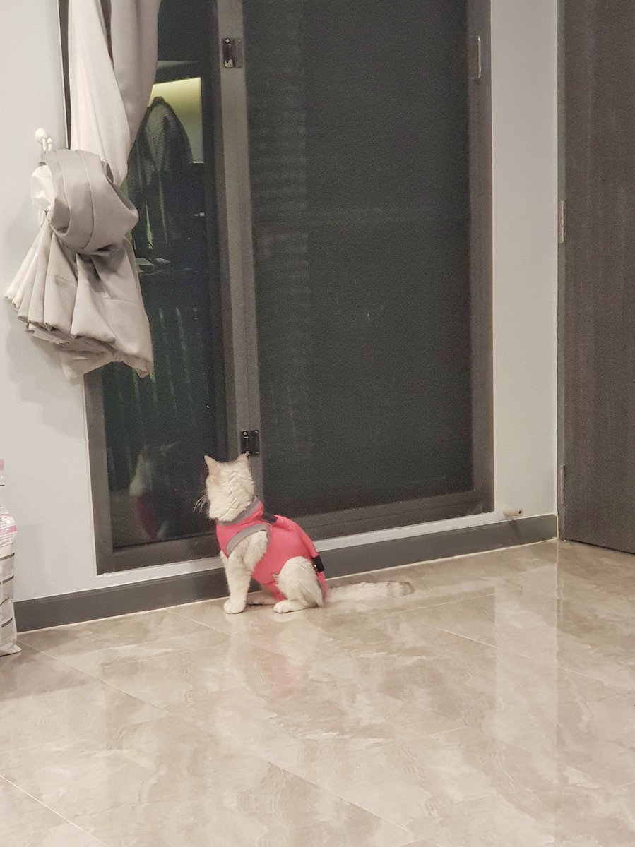 Bonusiie's tweet photo. คะคือนางนั่งจ้องเงาตัวเองในกระจกมาสักพักแล้วอะ https://t.co/qkqgZgoPtX