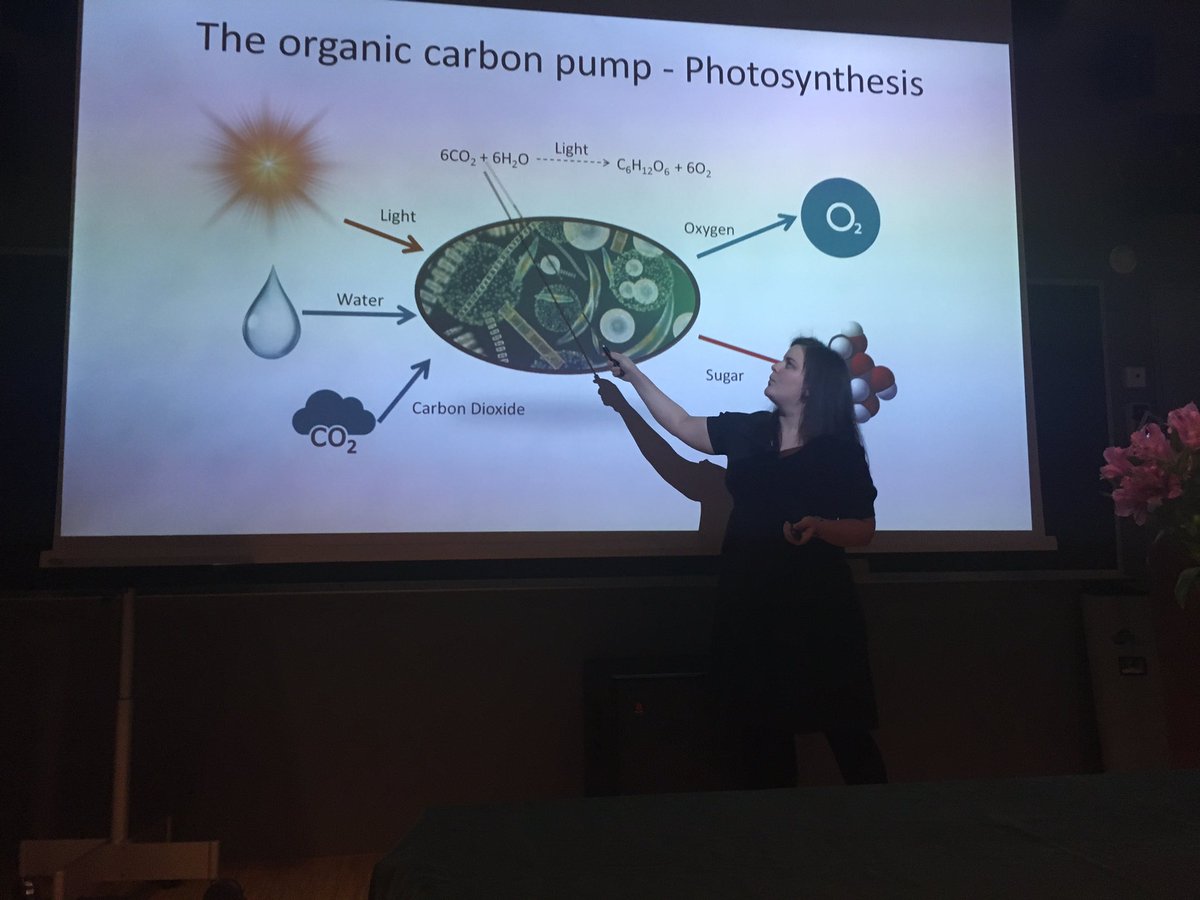 Katherina Petrou (@katherinapetrou) on Twitter photo An awesome PhD defence, fantastic company and sightseeing in beautiful Svalbard #polar science <a href="/UTS_Science/">UTS Science</a> An awesome PhD defence, fantastic company and sightseeing in beautiful Svalbard #polar science <a href="/UTS_Science/">UTS Science</a>
