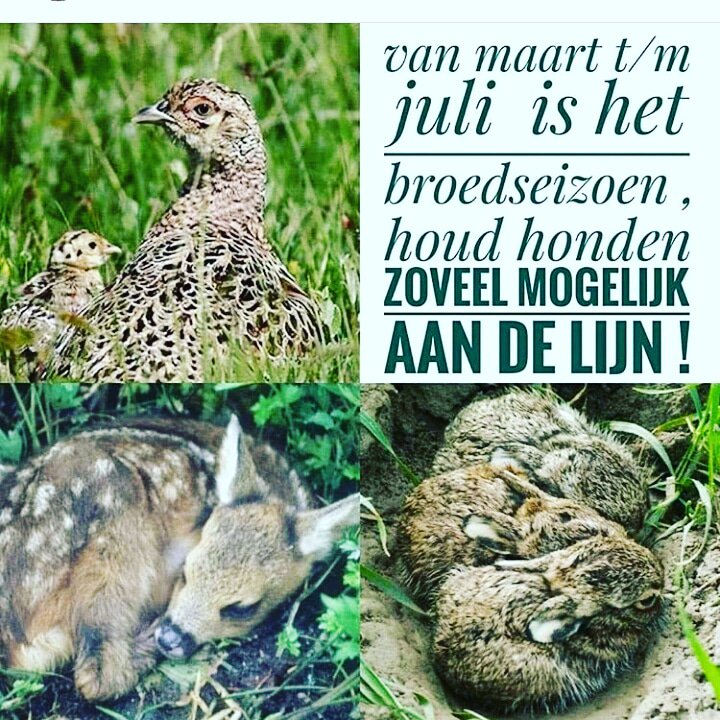 True! Opgelet aub :)