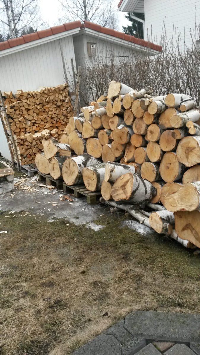 lakinainen's tweet photo. #hyötyliikunta'a. Valmistautumista jo nyt tulevaan talveen. Pinot on suorat...toivottavasti. 😁 Tietää mitä tekee illat ja viikonloput 😂 https://t.co/cfXQMGfMQx