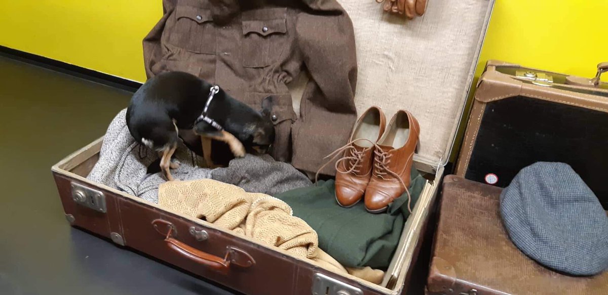 CharlesGames_cz's tweet photo. Thank you, #GamerPie, for setting up these historical props next to our table...including this historically-accurate dog 🐶 https://t.co/tBrwAUL7nS