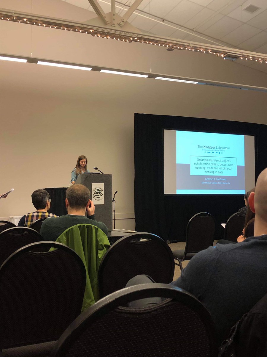 KloepperLab's tweet photo. Kate @_katemcgowan presenting her research on echolocation behavior and bimodal sensing in bats #IUABC2019 https://t.co/Ojs7a3T92h