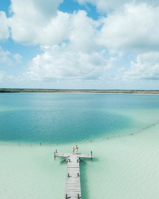 Ver imagen en Twitter