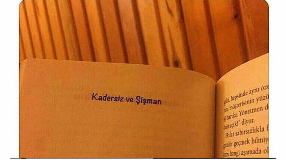 Seda Bulut tweet media