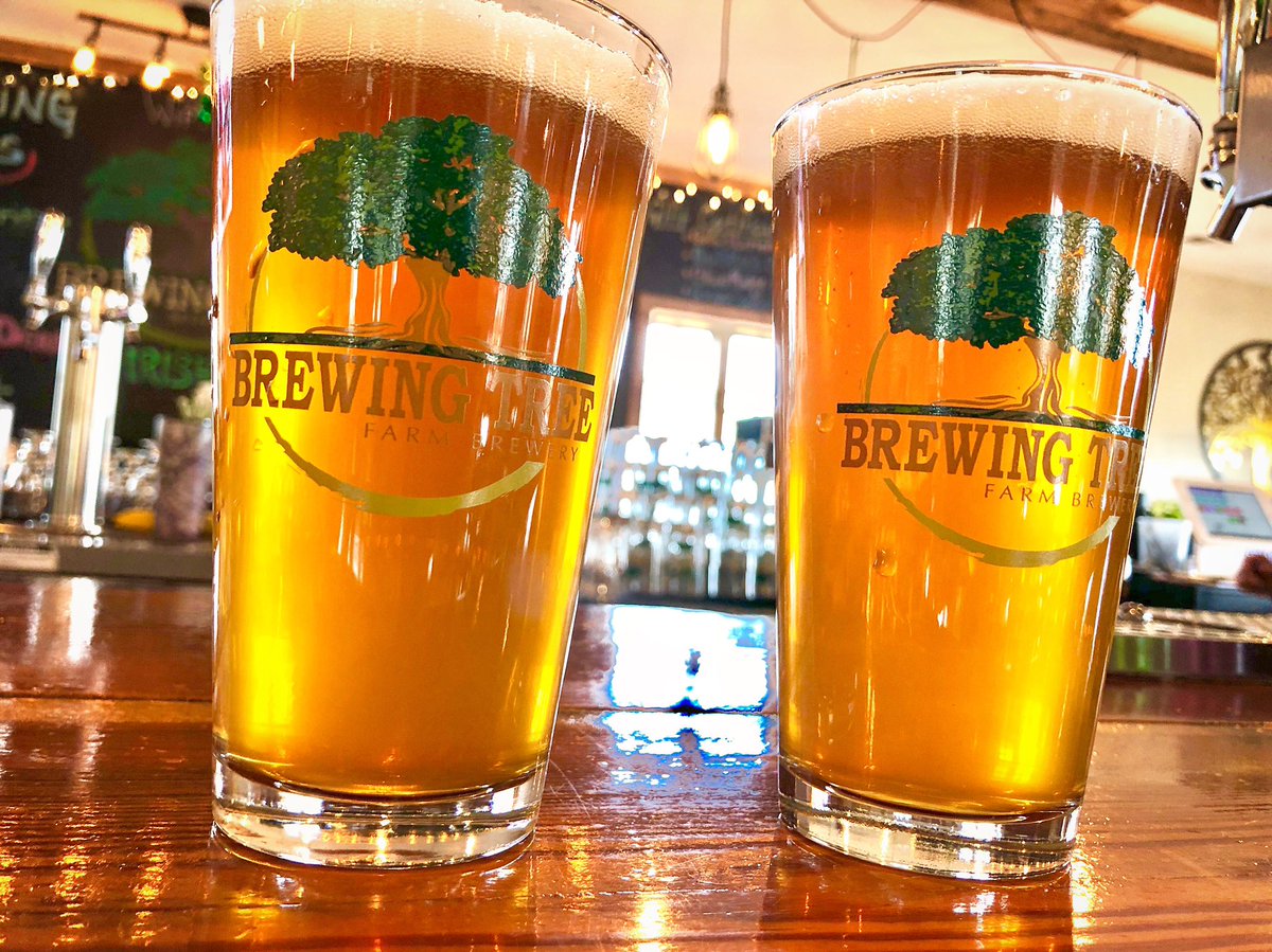 Beer anyone? Music, Beer, Food and Beautiful Weather at Brewing Tree today! Marshall Artz plays from 2-5pm!
.
📸: Gaslight BC Media
.
#afton #beer #music #food #weather #beautiful #pint #tree #friends #cheers