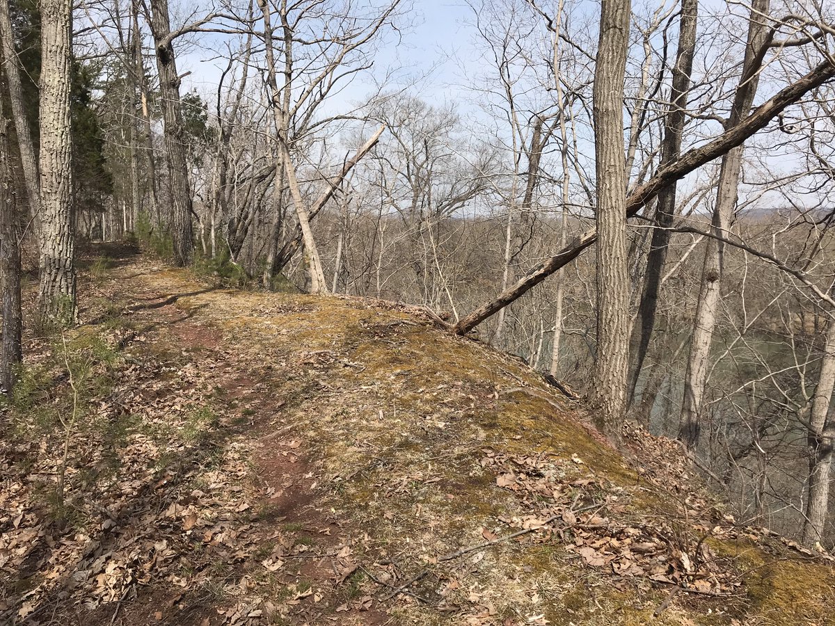 _willash's tweet photo. #BallsBluff for today’s long #TrailRun. 4 weeks ... @thenorthfaceECS #ECSDC #PotomacHeritageTrail https://t.co/EBwtp7mgY5