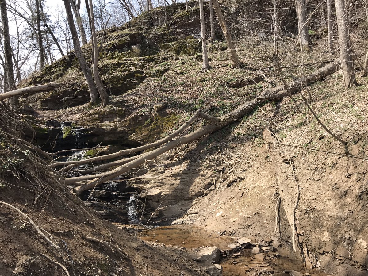 _willash's tweet photo. #BallsBluff for today’s long #TrailRun. 4 weeks ... @thenorthfaceECS #ECSDC #PotomacHeritageTrail https://t.co/EBwtp7mgY5