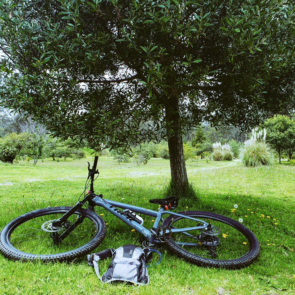edwin50l's tweet photo. 🚵🚵 https://t.co/x0B6IkYbnw