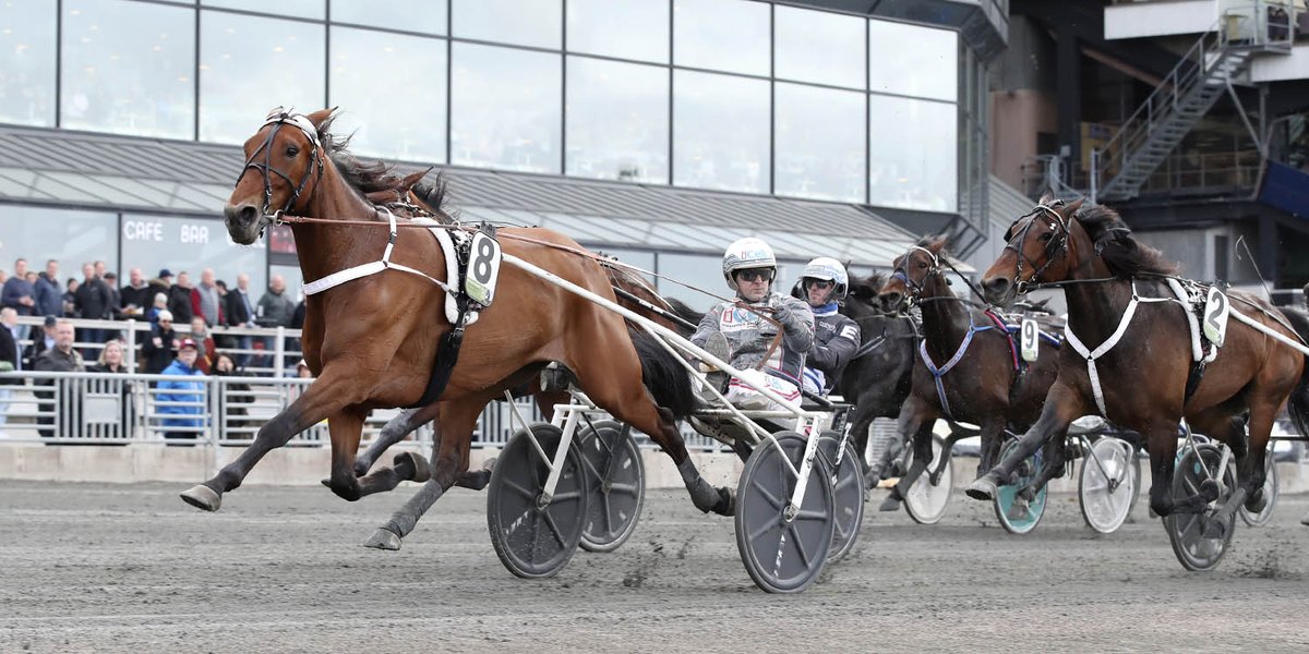 Joe_Zagari's tweet photo. #DoubleExposure 🇺🇸 #DonatoHanover won #Stoeliten 🇸🇪 @Solvalla with @ulfohlsson1964 & @StallZet⏱ 1.12.4 on 1640 over #ShadowGar and #InTotoSund
📷 @miatornberg @SulkysportAB https://t.co/sMIdzomPrP